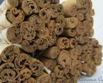 Cinnamomum-verum